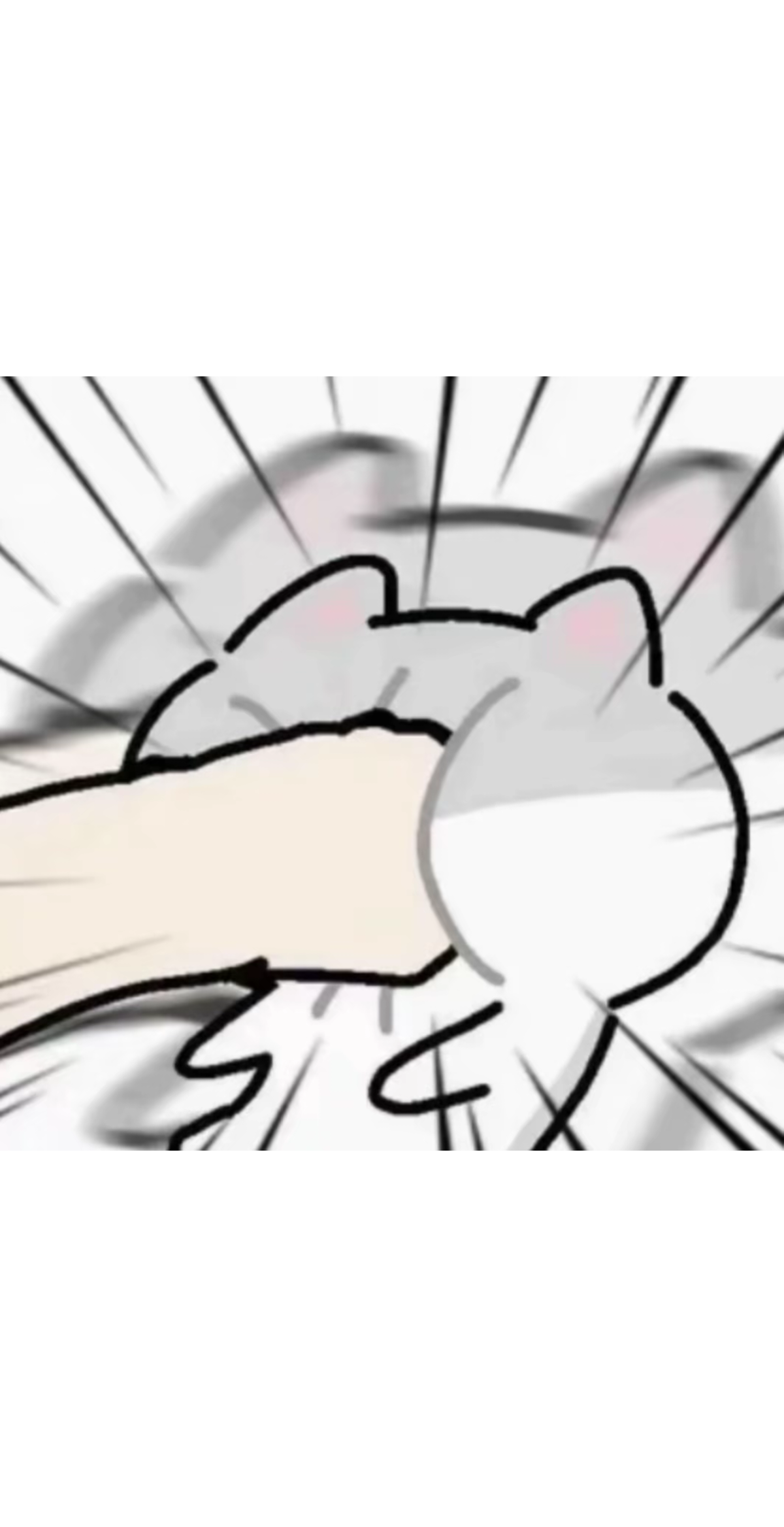 蓝眼镜白熊